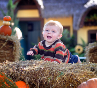 Ronin-2012-178.5x7.de